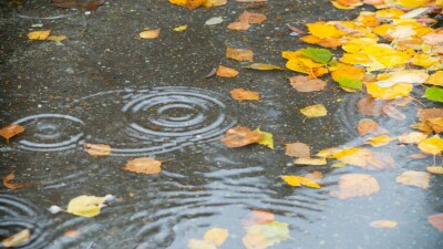 Прогноз погоды на 29 сентября: дождь ожидается на юге и востоке Казахстана