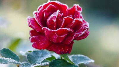 Прогноз погоды на 19 августа: заморозки на почве ожидаются в Нур-Султане и шести регионах Казахстана