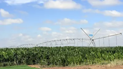 Как используют воду для полива полей в Кызылординской области, проверил Бозумбаев 