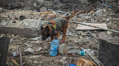 Что проиcходит в Украине. Главное к утру 9 января