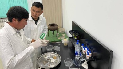 Редкую монету нашли во время раскопок в заповеднике-музее "Танбалы" Алматинской области