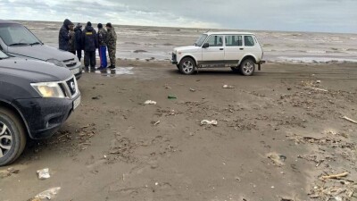 Около 700 мёртвых тюленей обнаружили на берегу Каспийского моря в Дагестане