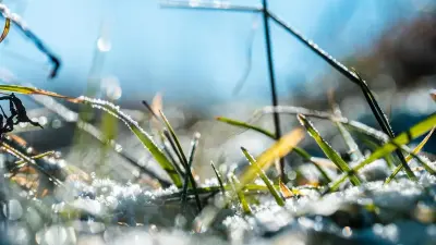 Прогноз погоды на 18 апреля: туман, мороз и гололёд ожидаются на востоке и в центре Казахстана