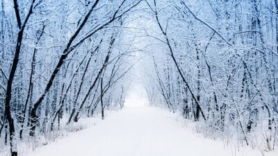 Прогноз погоды на 27 января: снег и метель ожидаются на севере и в центре Казахстана