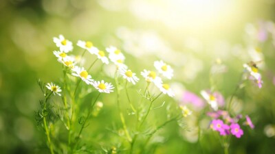 Прогноз погоды на 23 июля: 40-градусная жара ожидается на юге Казахстана