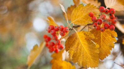 Прогноз погоды на 2 ноября: потепление ожидается в некоторых регионах страны