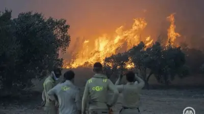 Леса горят в Турции, пострадали почти 140 человек