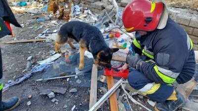 Что происходит в Украине. Главное к утру 17 апреля