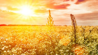 Прогноз погоды на 14 июня: жара, усиление ветра и пыльные бури ожидаются на юге и западе Казахстана