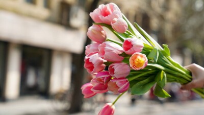 Какие концерты и выставки пройдут к 8 Марта в Алматы