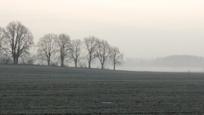 Прогноз погоды на 29 апреля: туман и сильный ветер ожидаются на севере Казахстана