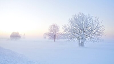 Прогноз погоды на 25 января: на севере и востоке Казахстана ночью сохраняется сильный мороз