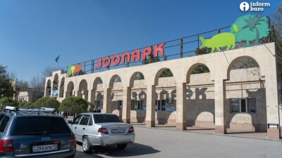 Зоопарк Шымкента покупает мясо дороже, чем социальные центры