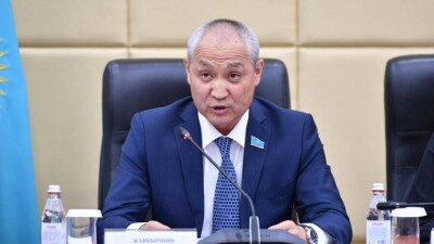 Депутат "Жаңа Қазақстан": Принимать норму об однократном 7-летнем президентстве надо до внеочередных выборов