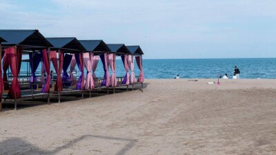 "Земельные участки отдали китайцам". Акимат Конаева разъяснил ситуацию