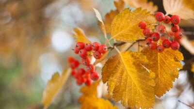 Прогноз погоды на 20 сентября: тепло сохраняется на большей части Казахстана