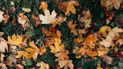 Прогноз погоды на 20 сентября: понижение температуры ожидается на юге Казахстана