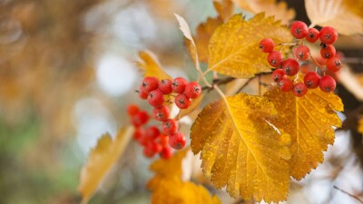 Прогноз погоды на 28 сентября: потепление днём ожидается на севере и западе Казахстана