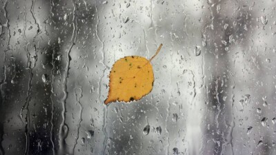 Прогноз погоды на 29 сентября: усиление ветра и осадки ожидаются на большей части Казахстана