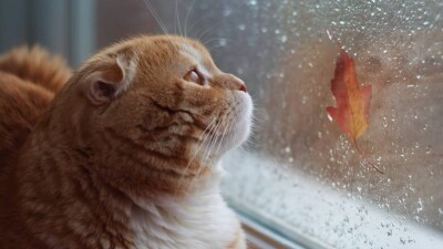 Прогноз погоды на 28 октября: осадки, гололёд ожидаются на севере, востоке и западе Казахстана