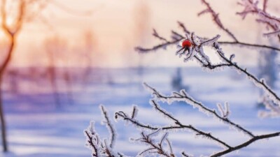 Прогноз погоды на 30 декабря: сильный мороз ожидается ночью на севере Казахстана