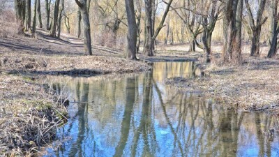 Прогноз погоды на 1 апреля: на большей части Казахстана будет тепло и сухо