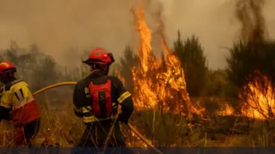 Леса горят две недели: 37 человек задержали в Испании по подозрению в поджогах 