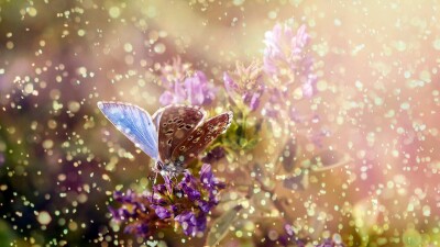 Прогноз погоды на 20 июля: на большей части Казахстана ожидаются дожди с грозами и порывистым ветром