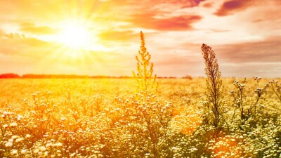 Прогноз погоды на 10 августа: жара ожидается на юге и западе страны, на востоке и севере будут дожди