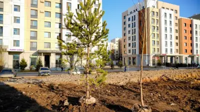 Миллион деревьев и кустарников высадят в Астане в этом году