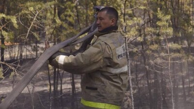 Лесной пожар в Абайской области локализовали