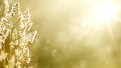 Прогноз погоды на 15 сентября: на юге ожидается жара, на остальной части Казахстана – заморозки