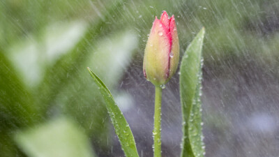 Прогноз погоды на 9 мая: дождь и ветер ожидаются на большей части Казахстана