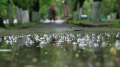 Прогноз погоды на 31 июля: на большей части Казахстана ожидаются гроза, град, шквал