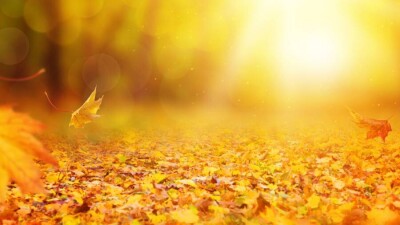 Прогноз погоды на октябрь: в первой декаде солнечная погода порадует жителей Казахстана