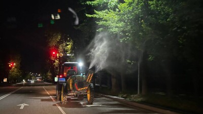 Обработку деревьев от вредителей начали в Алматы