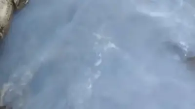 Вода посинела: ещё одну реку в Шымкенте проверяют экологи