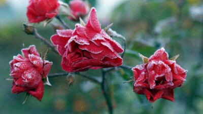 Прогноз погоды на 12 сентября: ночные заморозки ожидаются на западе и севере Казахстана