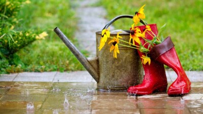 Прогноз погоды на 28 августа: дождь и гроза ожидаются на севере Казахстана