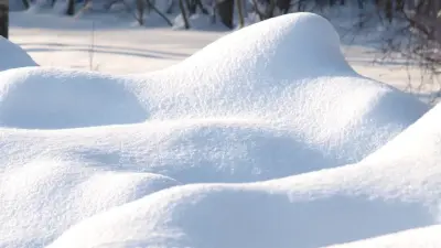 Прогноз погоды на 6 января: снег и сильный ветер ожидаются на севере и востоке Казахстана