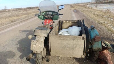 Пару краснокнижных лебедей застрелил охотник в Акмолинской области