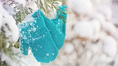 Прогноз погоды на 20 января: снег, низовая метель ожидаются на севере страны