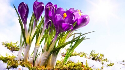 Прогноз погоды на 14 марта: днём по всему Казахстану ожидается плюсовая температура