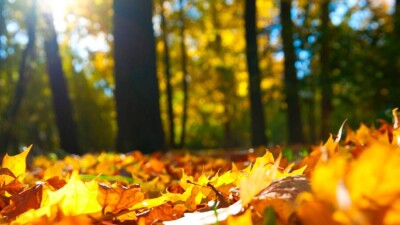 Прогноз погоды на 13 октября: тепло и сухо будет на всей территории Казахстана