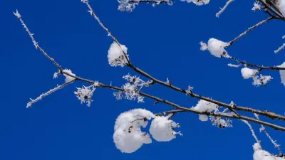 Прогноз погоды на 10 января: морозы ослабнут на севере и востоке страны