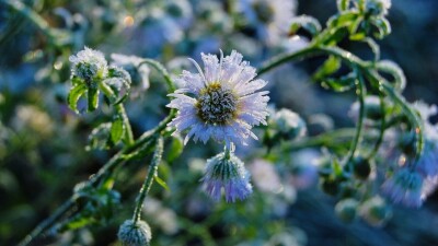 Прогноз погоды на 25 октября: заморозки ожидаются местами на юге и севере Казахстана