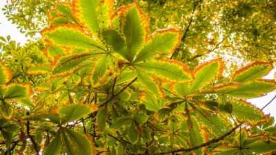 Прогноз погоды на 4 сентября: резкое понижение температуры ожидается на севере и местами западе