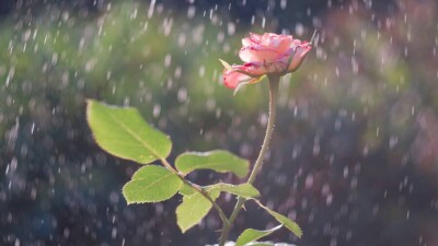 Прогноз погоды на 14 июля: дождь и гроза ожидаются почти во всех регионах Казахстана