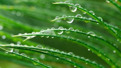 Прогноз погоды на 18 июля: по-прежнему дождливо будет почти на всей территории страны