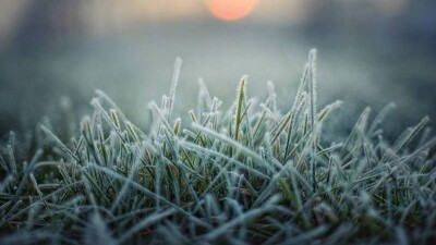 Прогноз погоды на 11 апреля: минусовая температура ночью ожидается на севере Казахстана